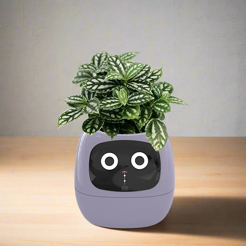 Smart Flowerpots _ cocobear