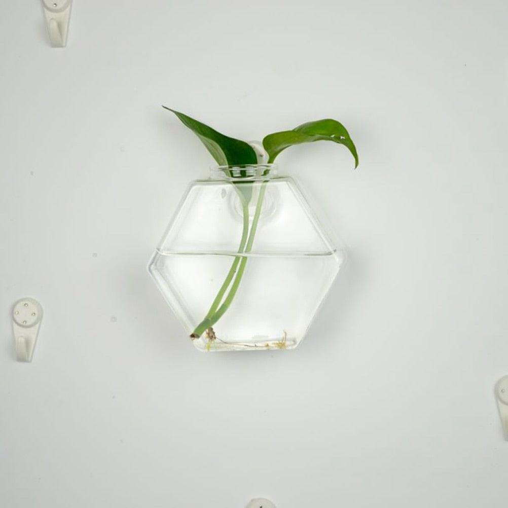 Wall-Mounted Glass Terrarium Planter - cocobear