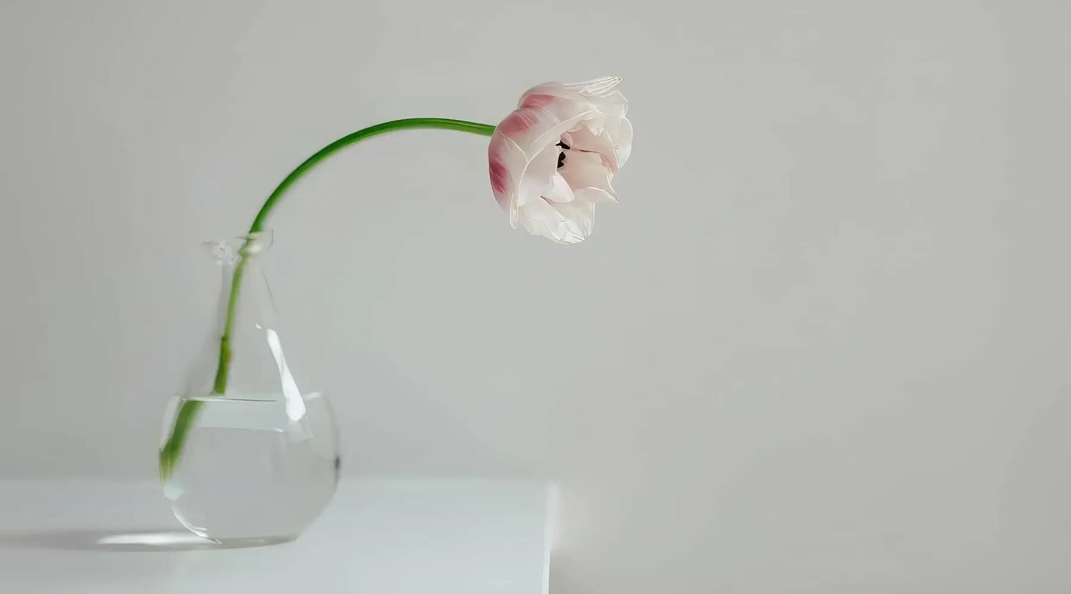 Planters & Vases
