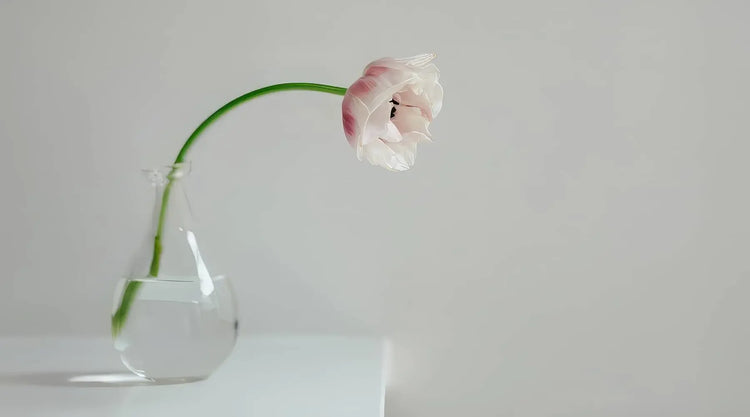 Planters & Vases
