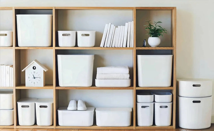 Storage & Organization