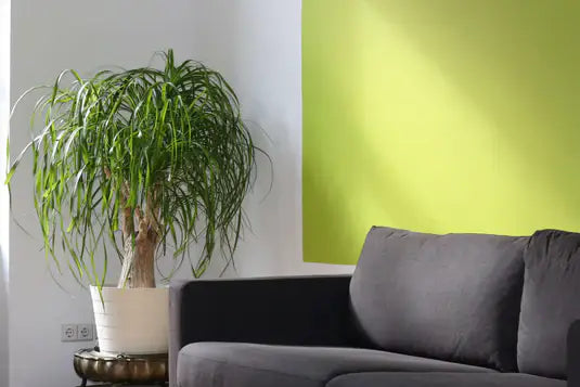 Living Room Items