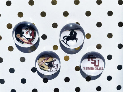 Set of College team Fridge Magnet