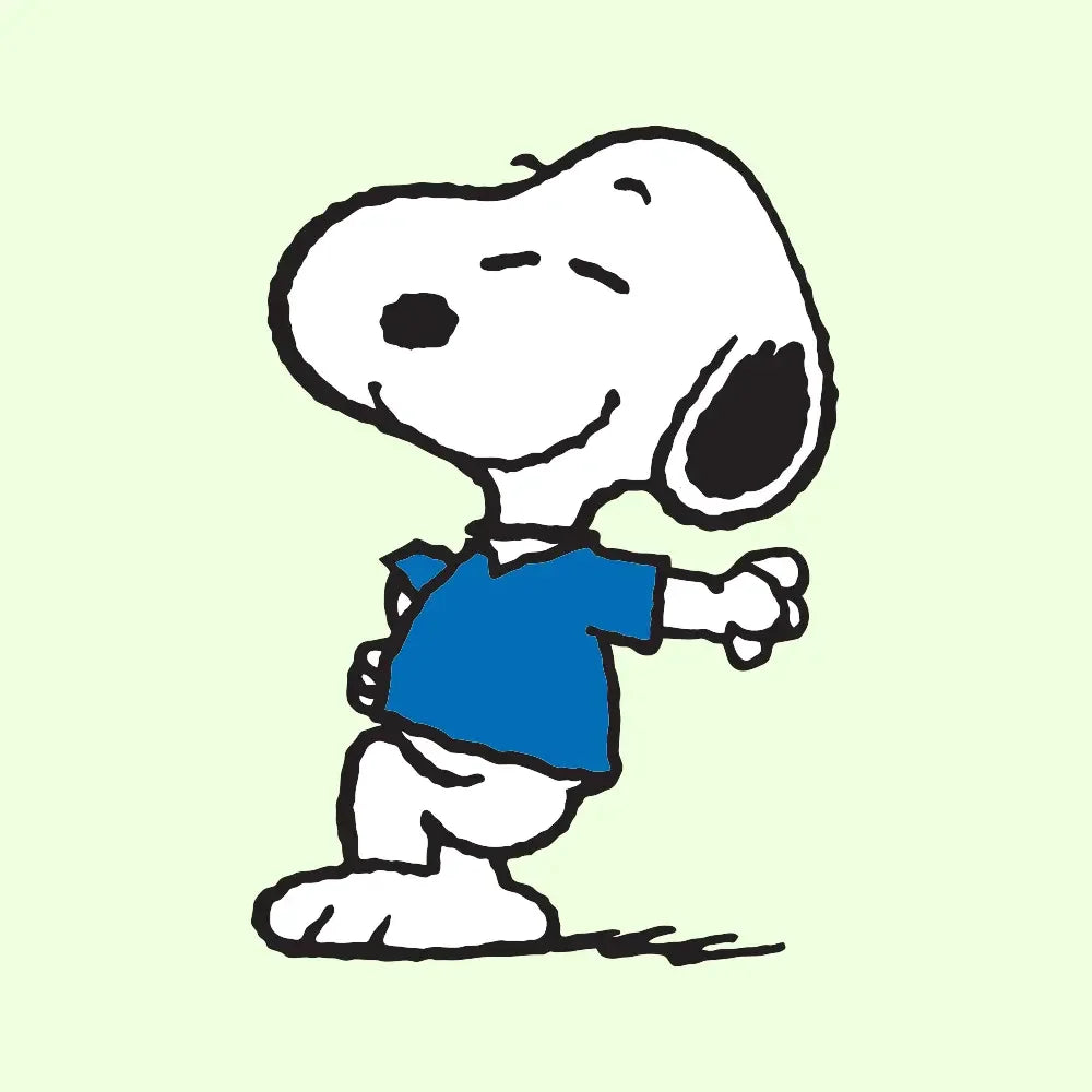 Snoopy & Woodstock Decal _ Not sticker, it is multilayer.