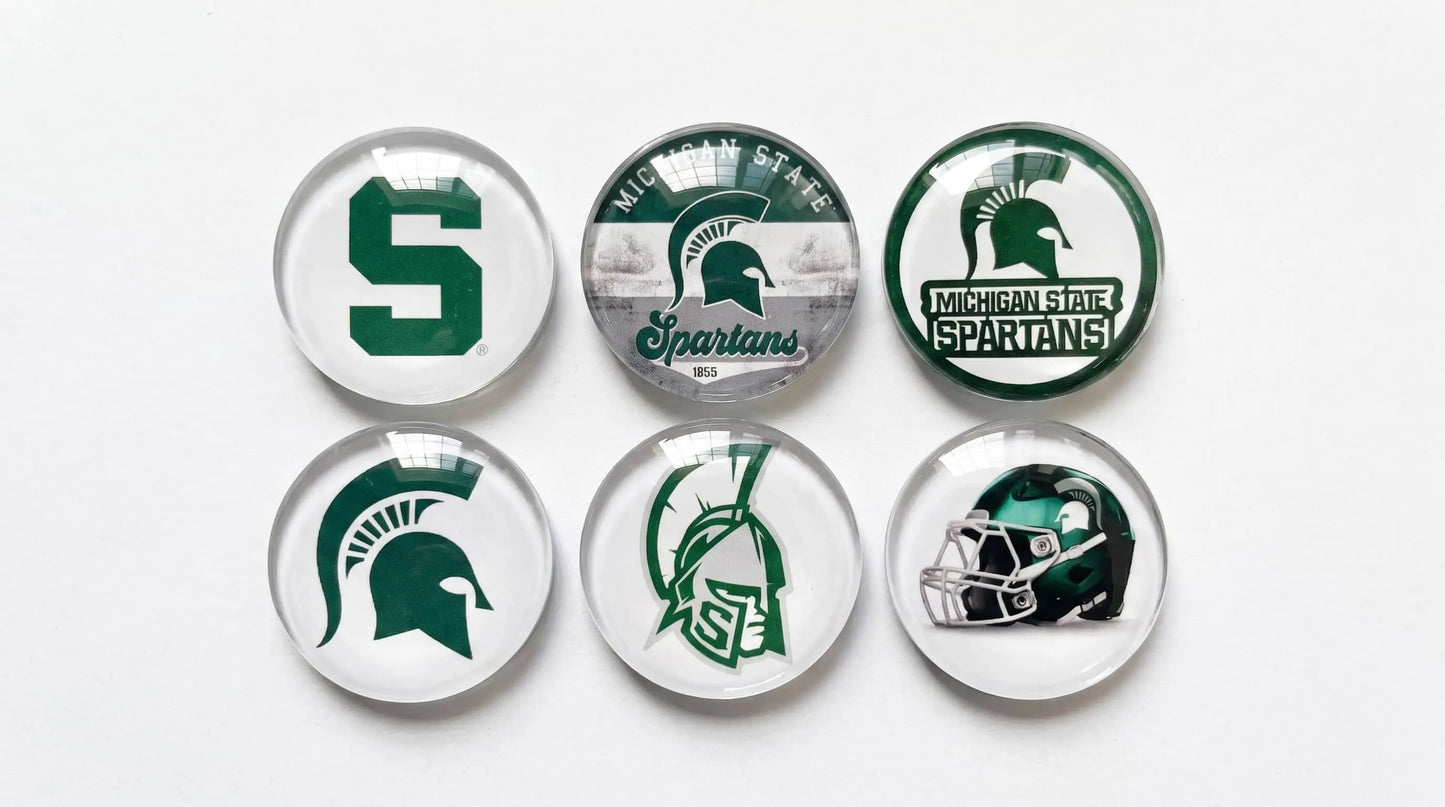 College team Fridge Magnet (BIG10 Team)