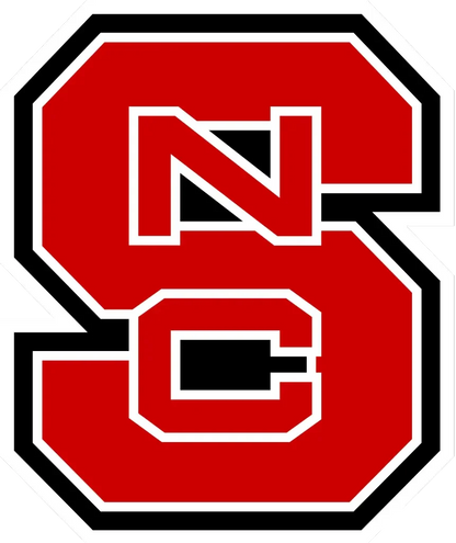 Red 'NS' logo with a black border on a white background
