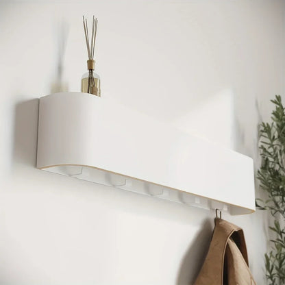 Wall Clothes Hanger