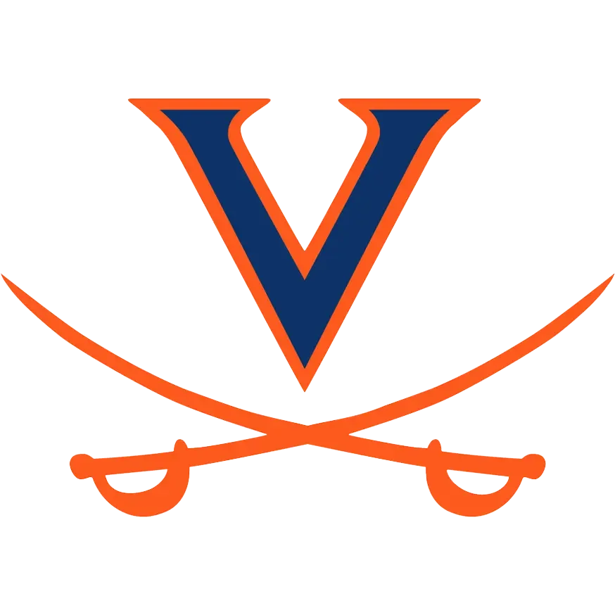 Logo with a blue 'V' and orange crossed swords on a white background