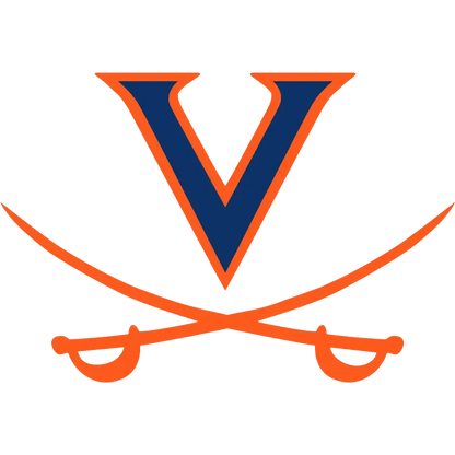 Logo with a blue 'V' and orange crossed swords on a white background